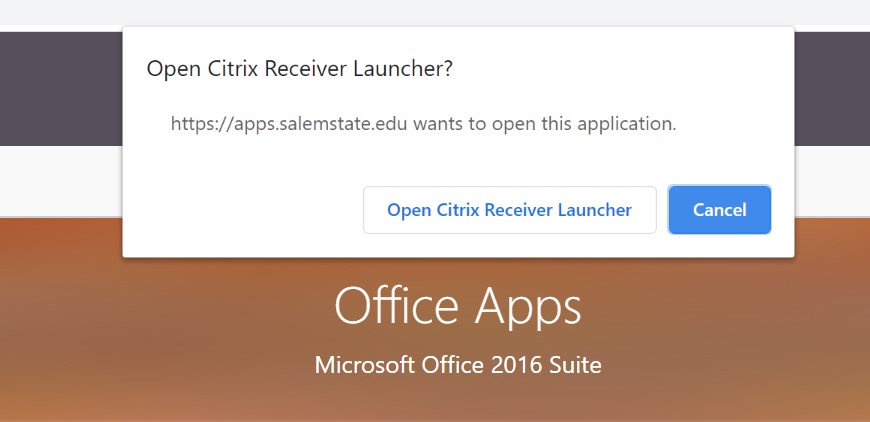 Open Citrix Receiver Launch prompt displays