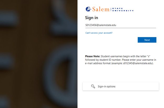 Picture showing the Salem State Sign In page.