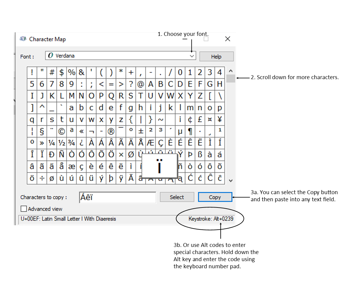 special characters assignment expert