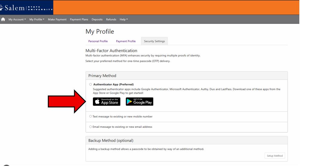 TouchNet MFA choosing option 