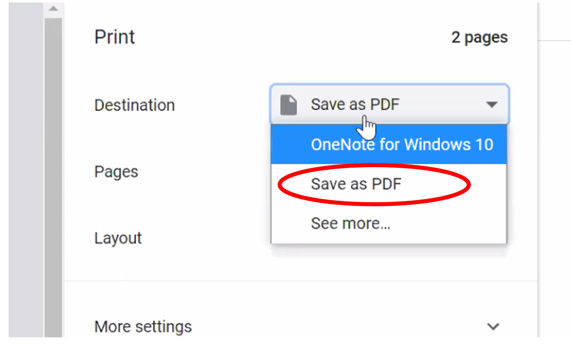 print screen to save as pdf 