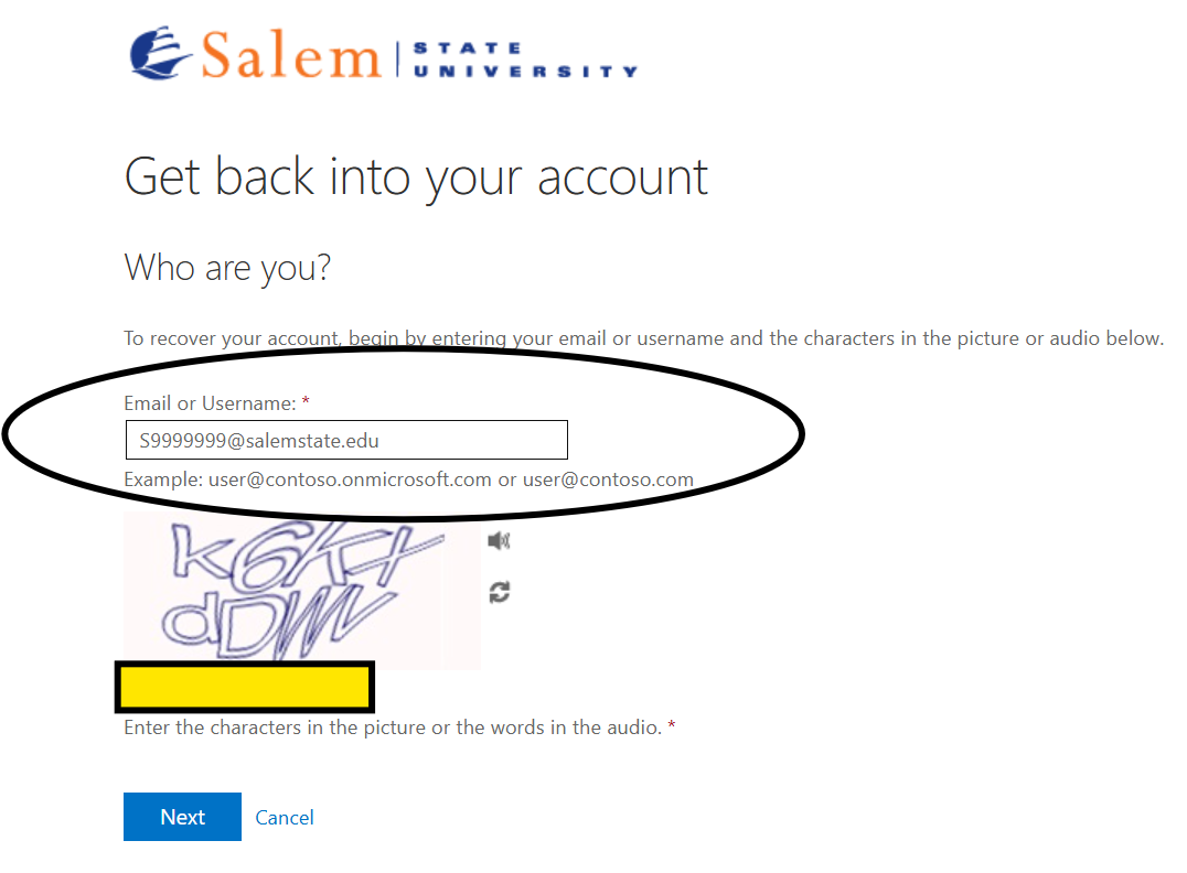 Microsoft Email or username login box with reCAPTCHA block